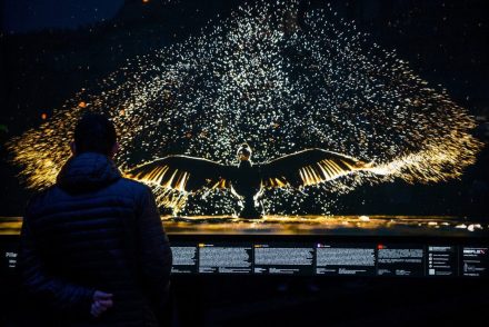 A nap fotója: Máté Bence lenyűgöző természetfotója
