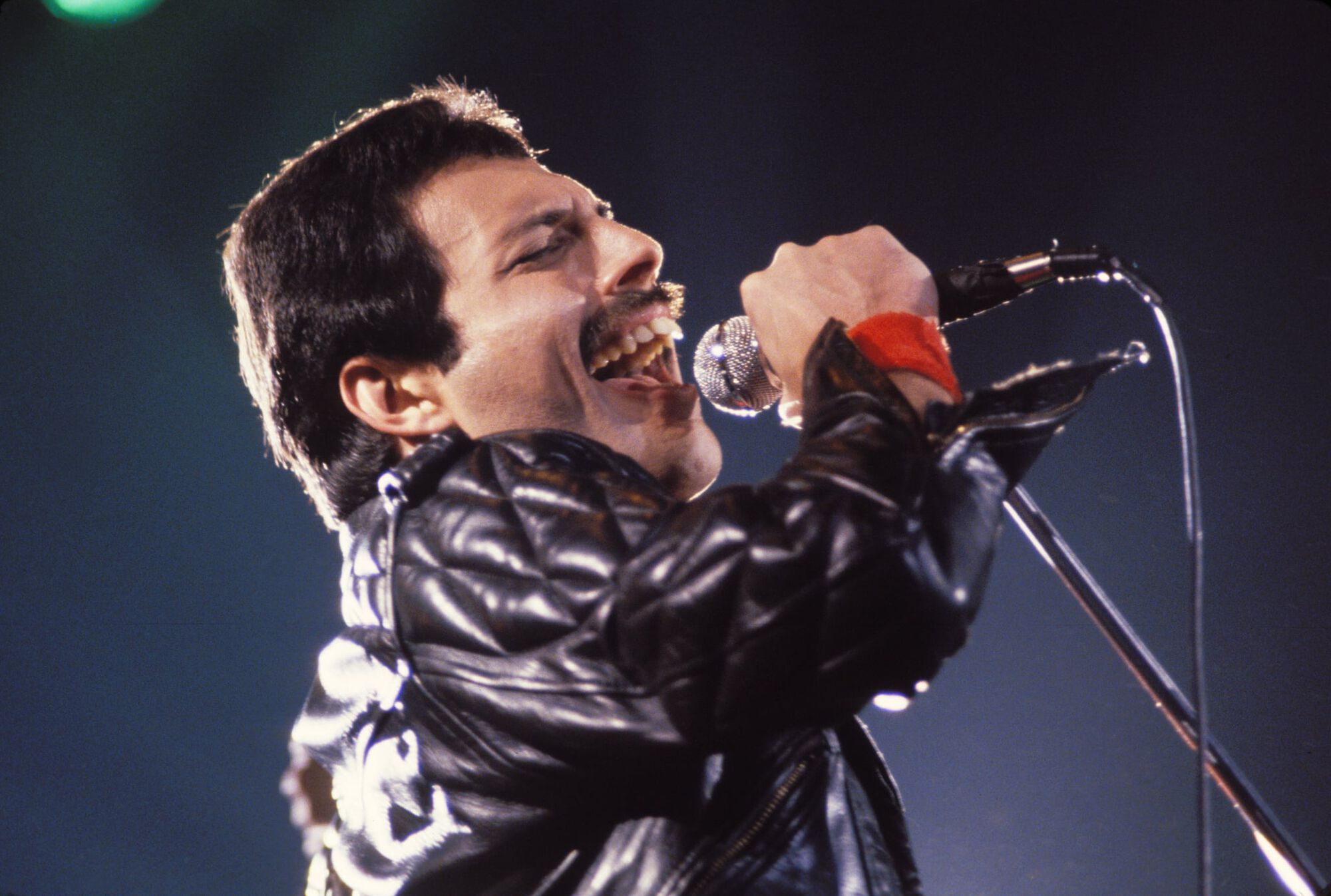 Freddie Mercury Uj Dala