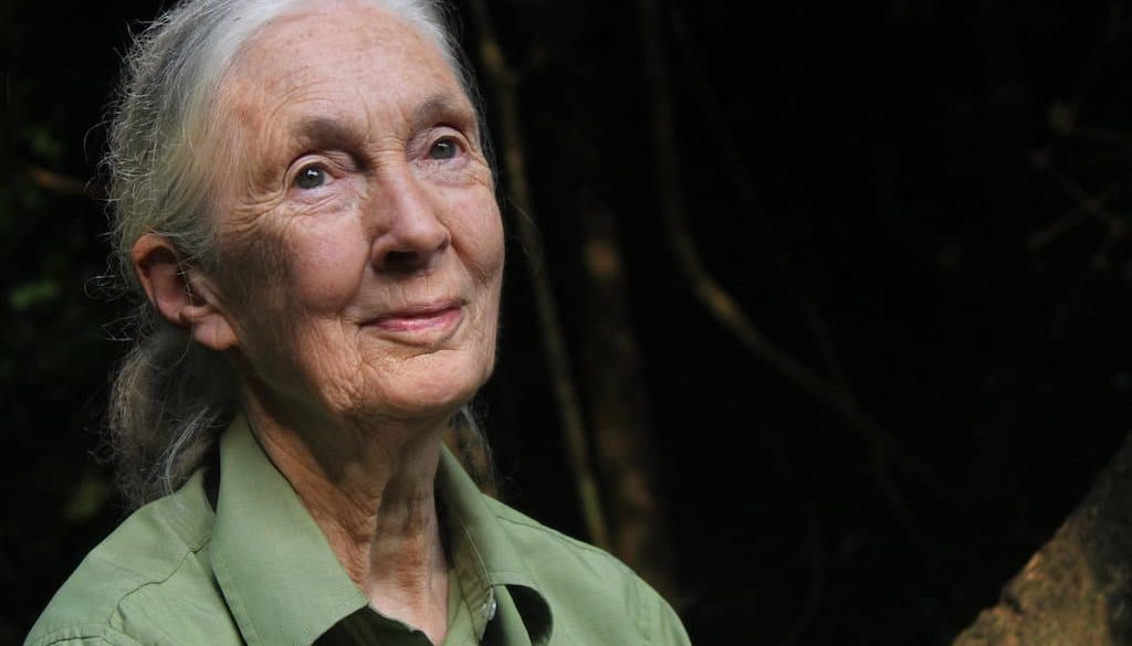 Jane Goodall koronavirus konyv