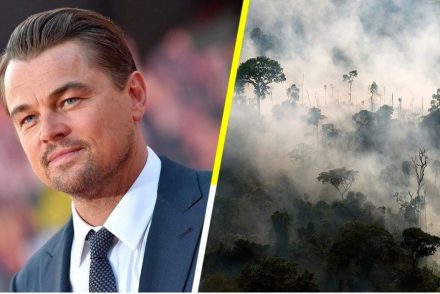 Leonardo DiCaprio hatalmas összeggel támogatja az amazonasi tűzvész megfékezését