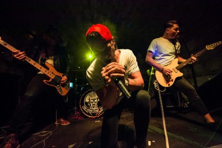 Sötét, nyúlós méreg a negatív szó – Mondja a The Royal Freak Out