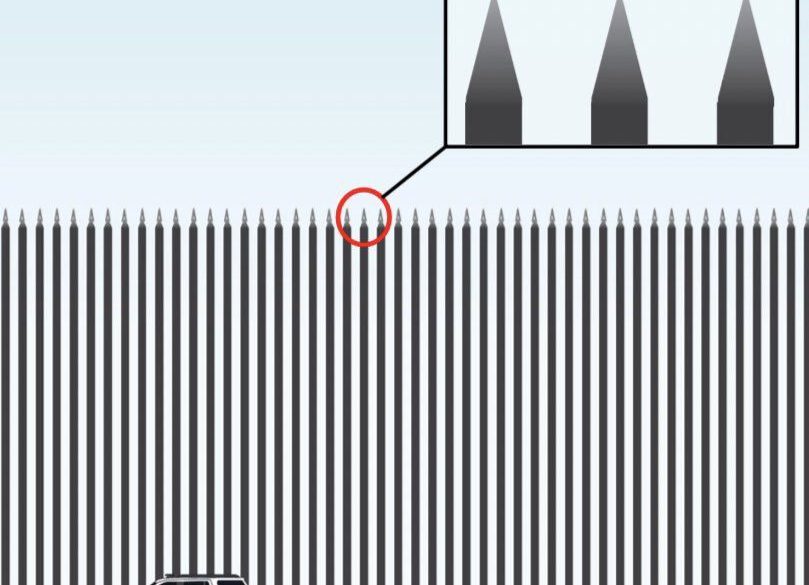 Trump fal