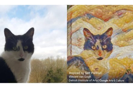 Egy applikáció, ami Yayoi Kusama és Frida Kahlo munkáivá varázsol