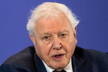 David Attenborough elárulta, hogy mi ad számára okot a reményre