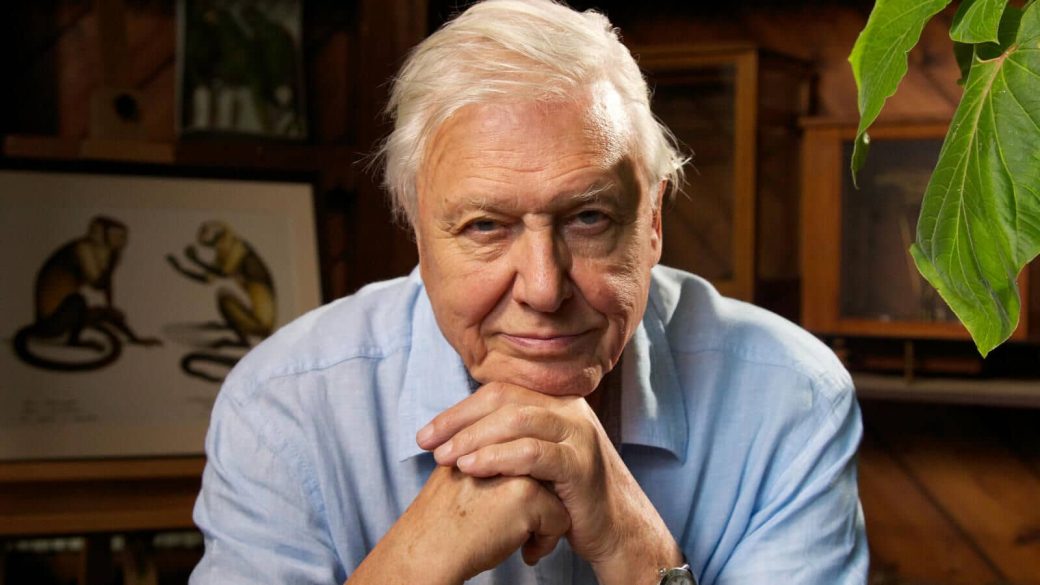 david attenborough life in colour