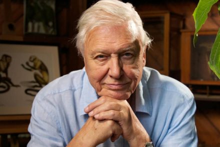 David Attenborough utánajár, az állatok hogyan fejezik ki az életet és a halált színekkel
