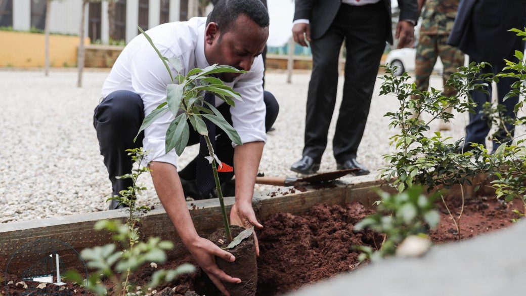 etiopia faultetes klimakatasztrofa