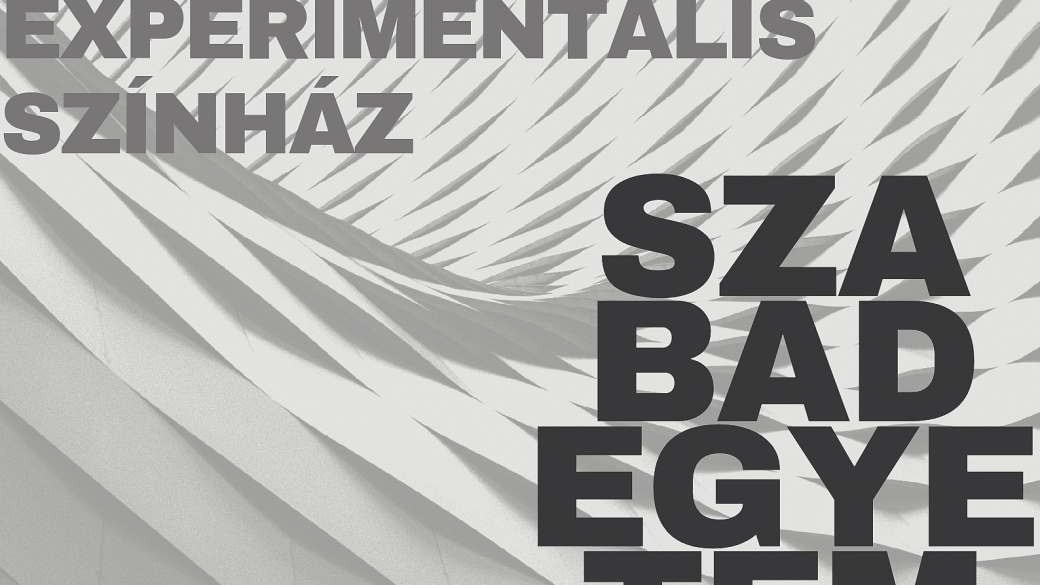 experimentalis szabadegyetem studio k