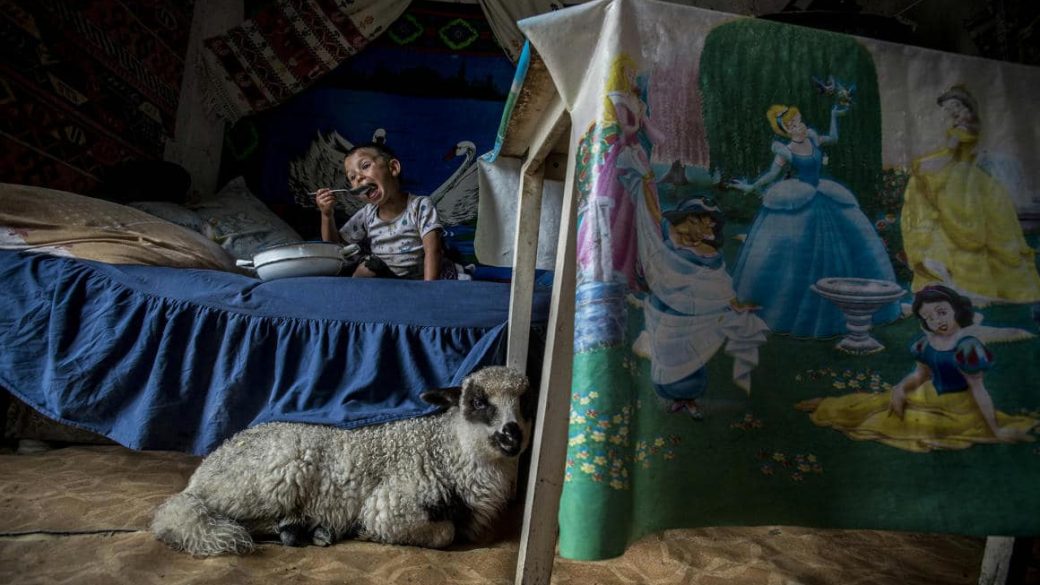 hajdu d andras fotos magyar sajtofoto 2020 nyertesek4