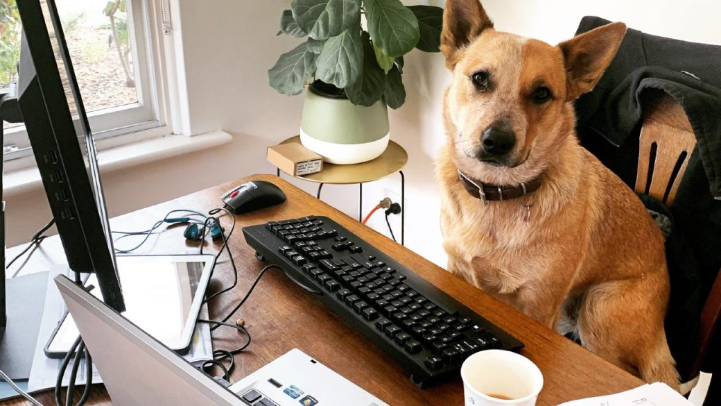 home office kutya