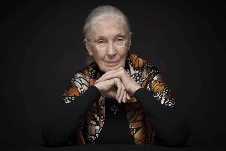 Jane Goodall: „Az emberiségnek vége, ha nem változtatunk a koronavírus után”