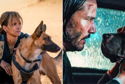 Amit mindig is tudni szerettél volna a John Wick-filmek kutyáiról