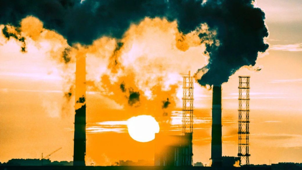 klimakatasztrofa collins szotar az ev szava 2019