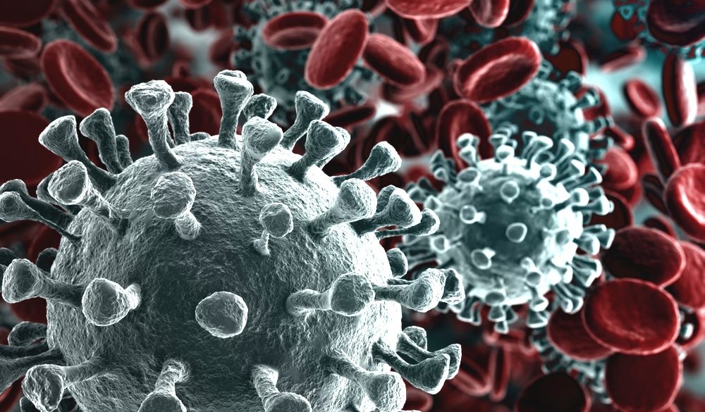 koronavirus eredete termeszetes