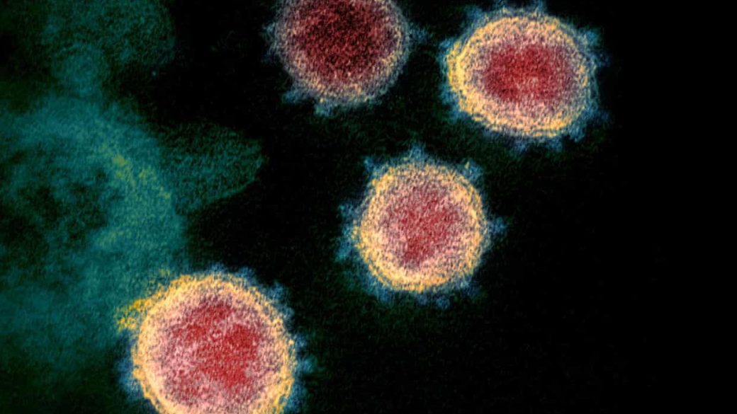koronavirus gyik