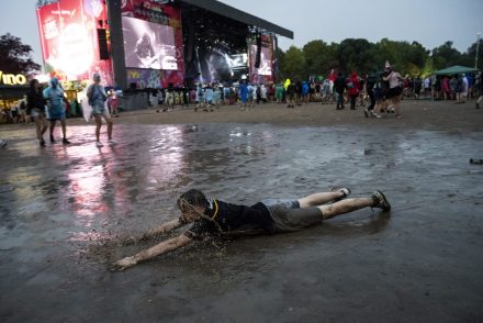 Ez volt a legnagyobb drogfogás a Sziget Fesztivál történelmében – Videó