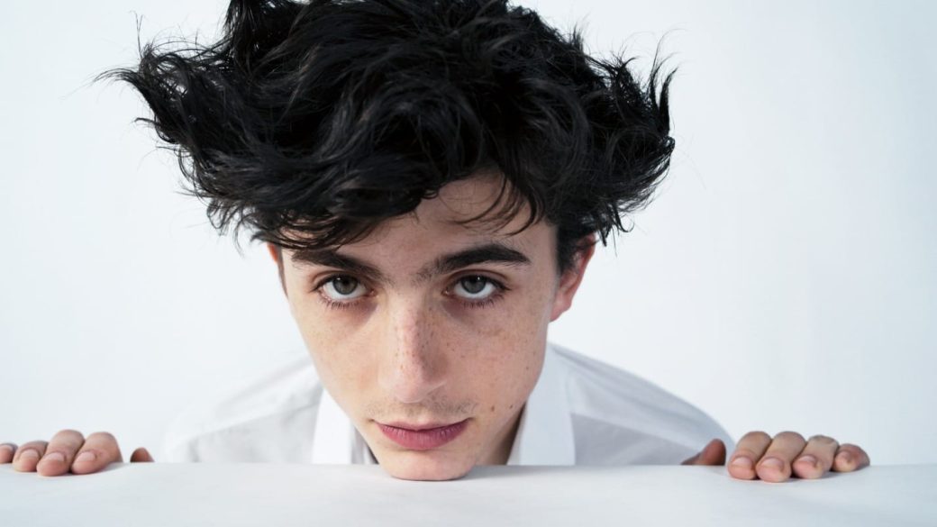 timothee chalamet 1