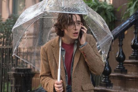 Woody Allen szerint Timothée Chalamet saját Oscar-esélyének növelése miatt vádolta őt