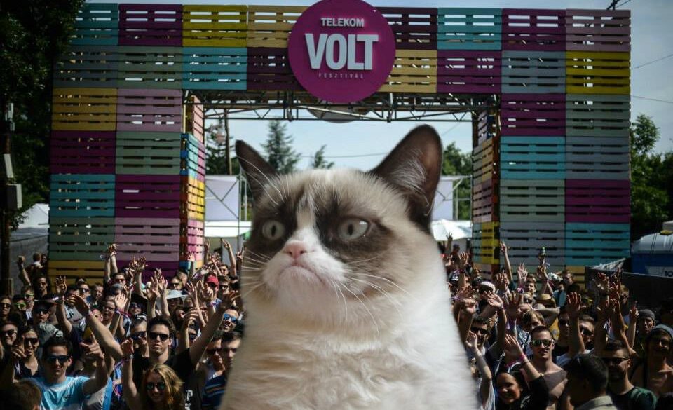 volt fesztival rpg zenekar szelsojobboldal