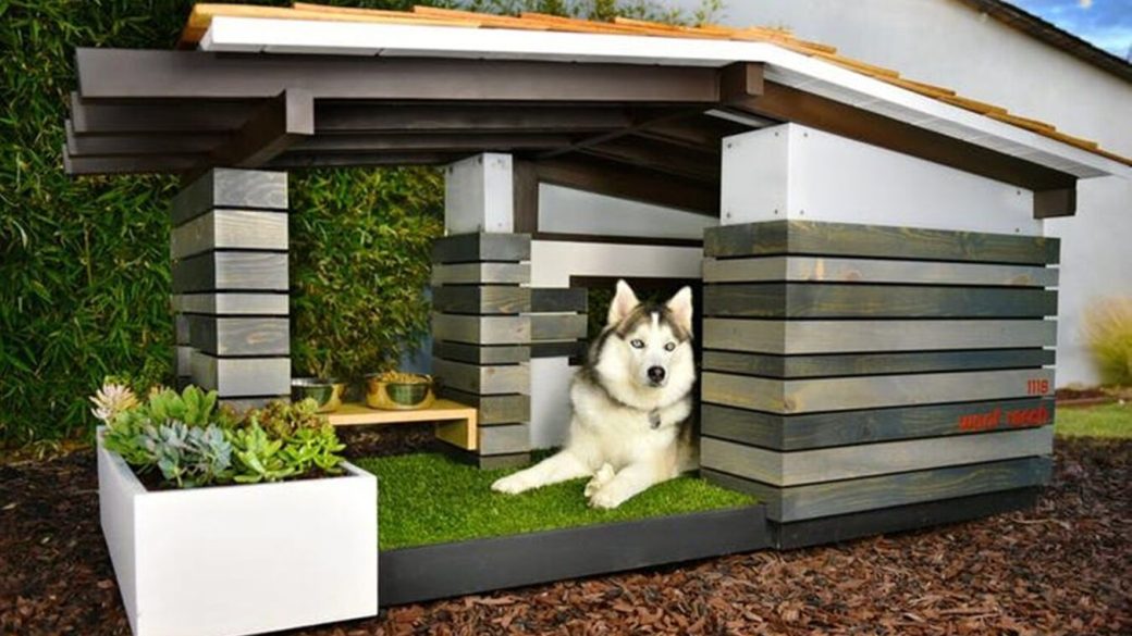 woof ranch2