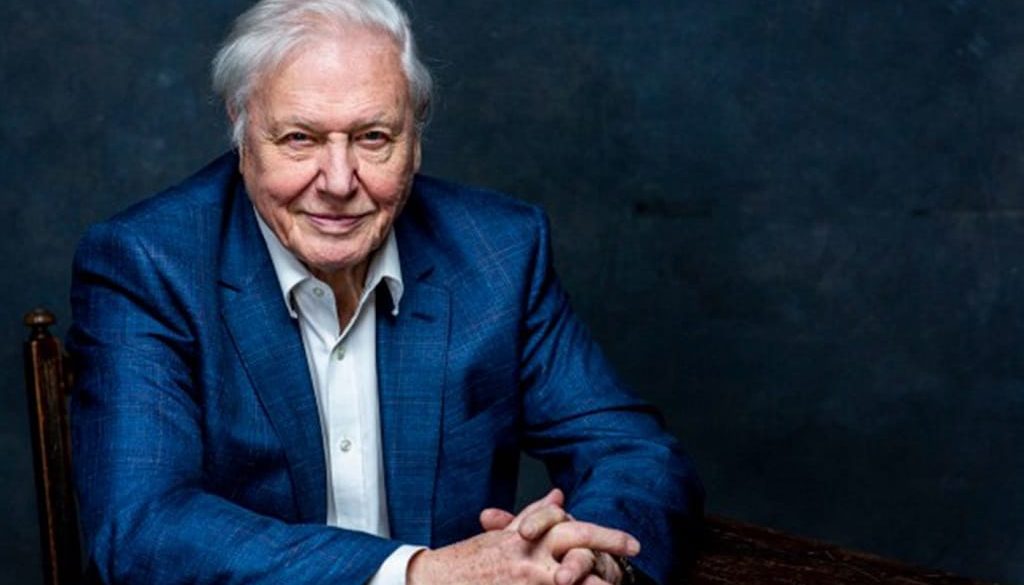 david attenborough instagram megszunik life on a planet