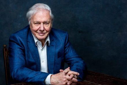 David Attenborough jött, látott, rekordot döntött, megunta az Instagramot