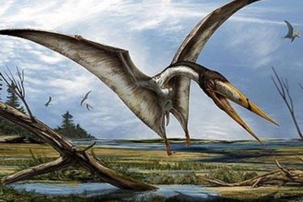 Egy egyetemista felfedezett egy új dinoszauruszfajt, a pteroszauruszt