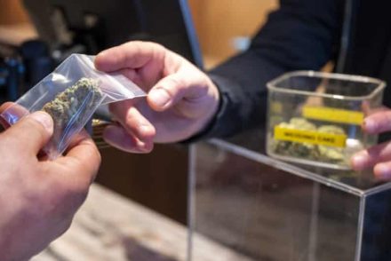 Amszterdam megelégelte a várost ellepő olcsójános fűturistákat
