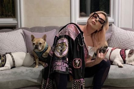 Lady Gaga kutyái épségben meglettek