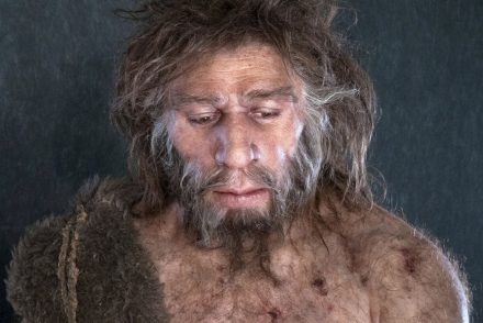 A neandervölgyi emberek kihalásának oka a Föld mágneses pólusváltása lehetett