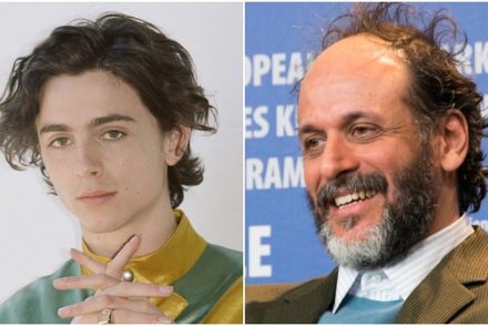 Luca Guadagnino és Timothée Chalamet a Szólíts a neveden után kannibáltörténetet forgatnának újra együtt