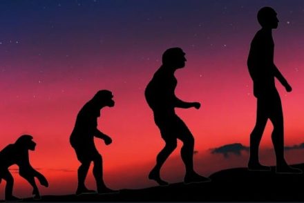 Komoly evolúciós előny a főemlősökhöz képest, hogy az ember kevesebb folyadékkal beéri