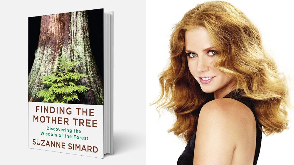 Amy Adams Finding the Mother Tree