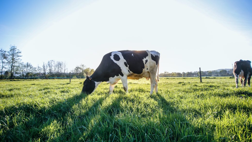 metangaz-kibocsatas globalis felmelegedes klimavaltozas