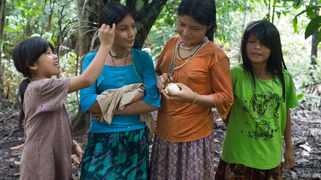 agysorvadas lassitasa oregedes lassitasanak titka tsimane torzs