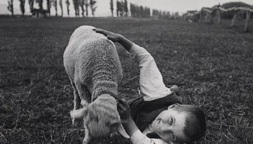 andre kertesz szigetbecse capa kozpont