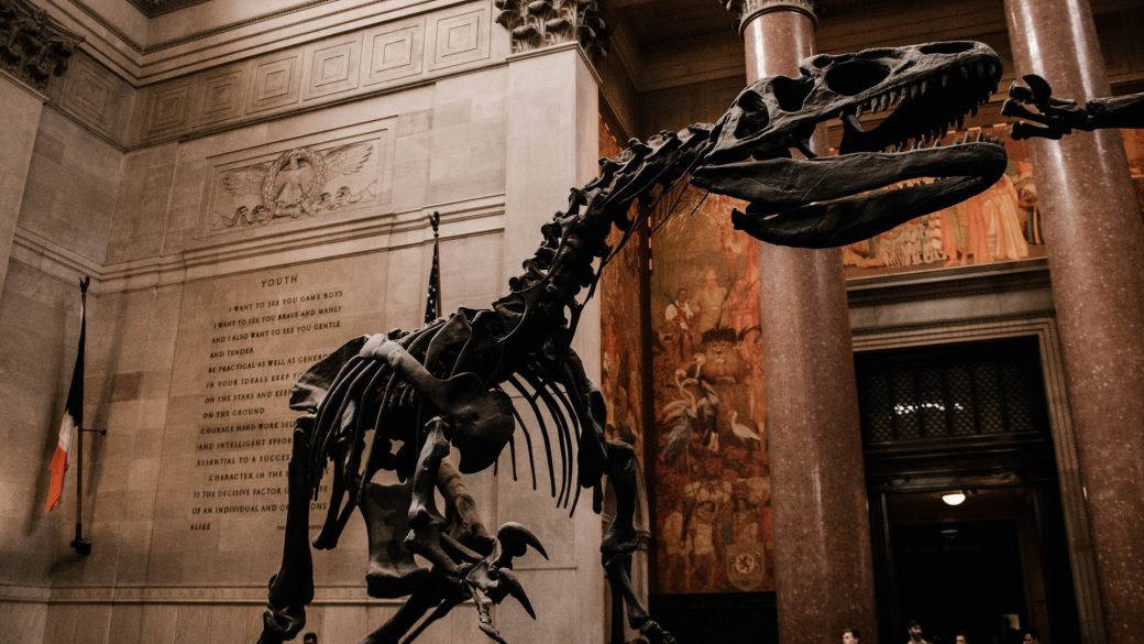 dinoszauruszok labnyom david martill folkstone
