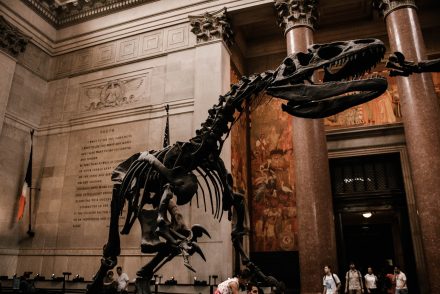 Az utolsó dinoszauruszok lábnyomait fedezték fel Dover közelében