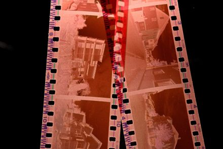 Ezeket a kortárs regényeket ajánlják megfilmesítésre