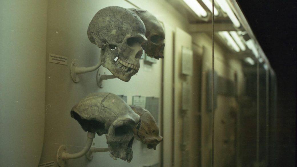 osember neandervolgyi homo sapiens homo neser ramla