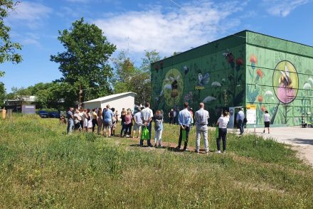 Méhlegelőt és méhecskehoteleket hoztak létre, hogy a beporzó rovatok fontosságára hívják fel a figyelmet Szegeden