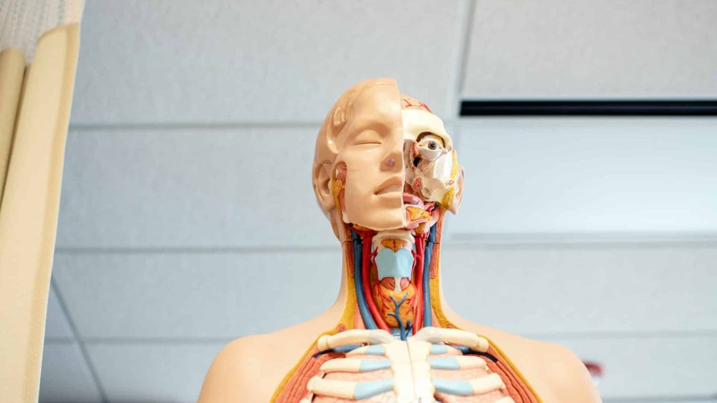 deepmind algoritmus orvostudomany feherje szerkezete