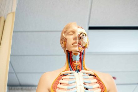Az emberi test szinte minden fehérjéinek szerkezetét előrejelzi a DeepMind algoritmusa