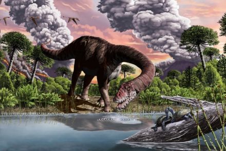 Hirtelen kihalásuk előtt már csökkenni kezdett a dinoszauruszok száma