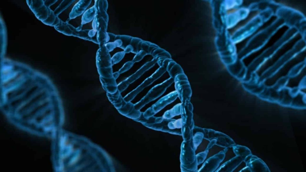 dna gyilkossag Ancestry 23andMe Darren Roy Marchand