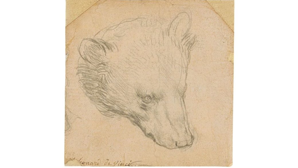 leonardo da vinci medvefej rajz arveres