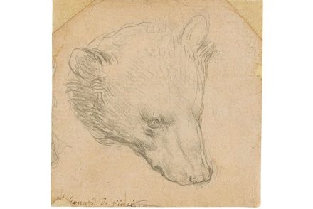 Leonardo da Vinci Medvefeje rekordáron, több mint 3,6 milliárd forintnyi összegért kelt el