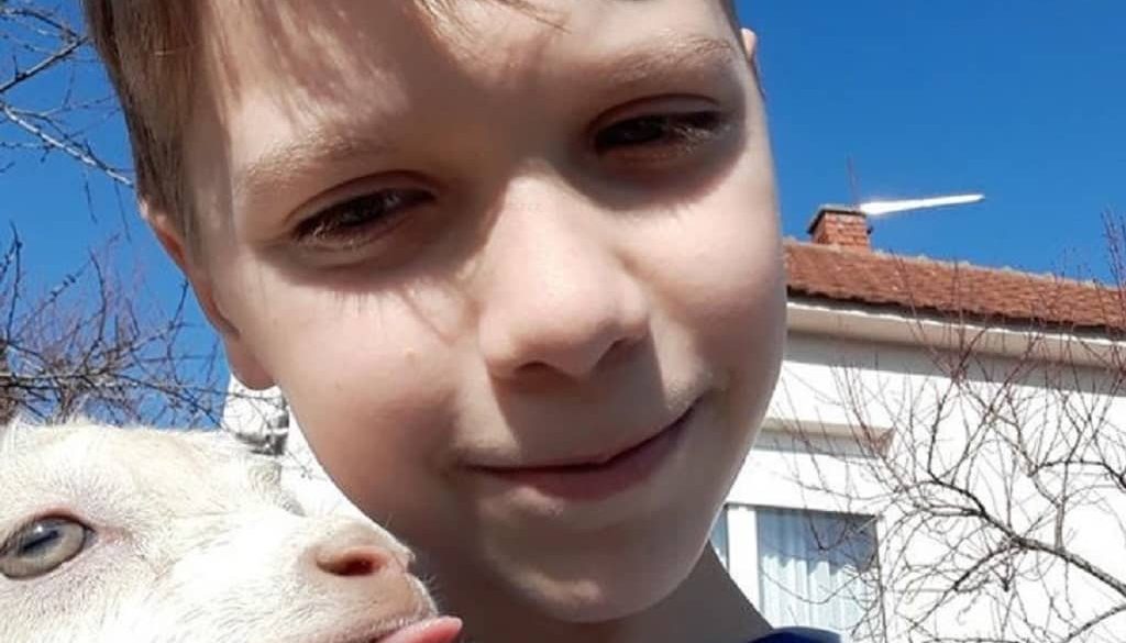 emberek haziallatok kapcsolatai