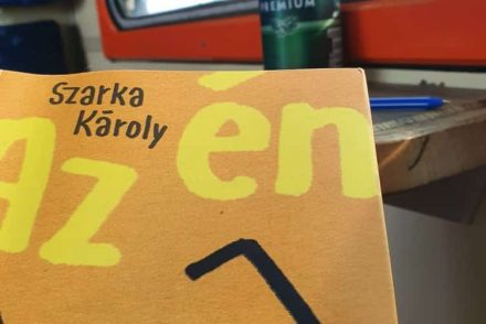 Kinek a hibája, hogy ez a magyar valóság?