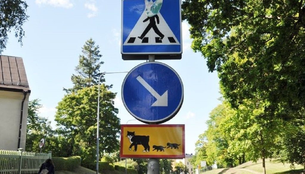 svedorszag furcsasagok